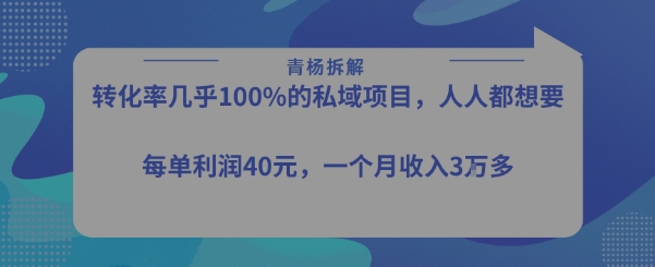 转化率最高的私域项目，每单利润40-50米，月入过1w-出门会