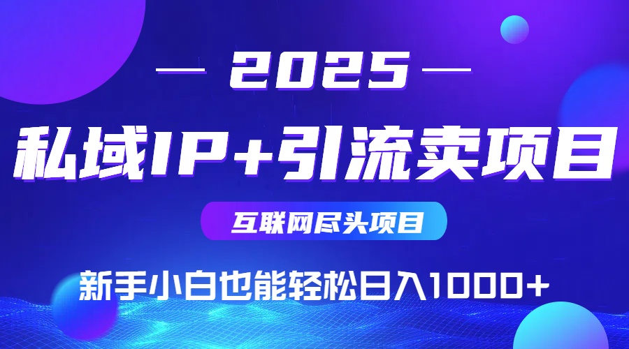 2025网创尽头项目，私域IP+引流，新手小白也能在家日入1000+-出门会