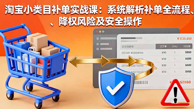 淘宝小类目补单实战课：系统解析补单全流程、降权风险及安全操作-出门会