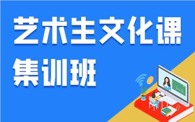 杭州诚博高考艺术生文化课